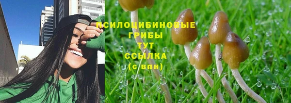 apvp Абдулино