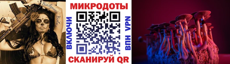 цены Ладушкин Галлюциногенные грибы прущие грибы