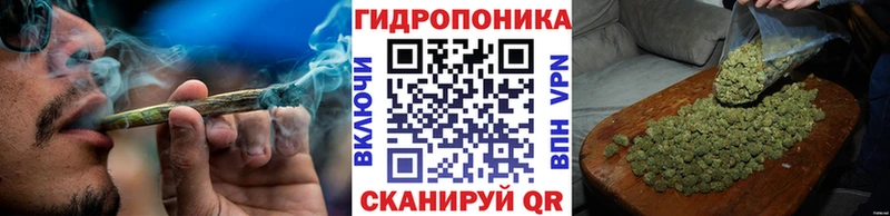 Каннабис сатива как найти закладки Ладушкин